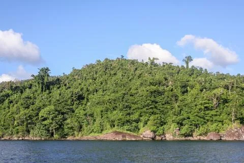 Masoala forest Stock Photos