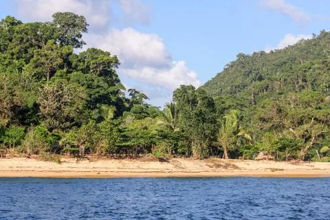 Masoala forest Stock Photos