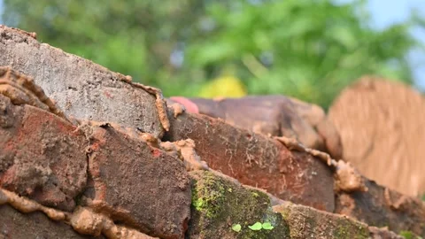 A Mason bricklayer installing bricks on construction site. Stock Footage 321034657