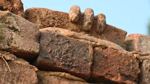 A Mason bricklayer installing bricks on construction site. Stock Footage 321034671