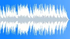 Mason Dixon (WP) 02 Alt1(mournful,American West,southern,relaxed,delta,tension) Stock Music