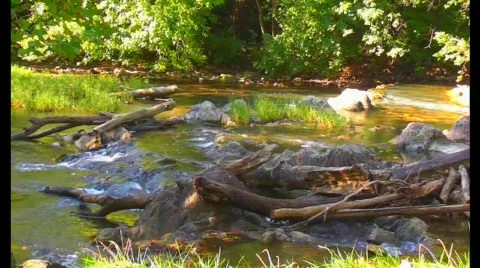 Mason mill 3 Stock Footage 569979