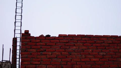 Mason or Mistri Making Wall Of Terrace In winter Evening, India Stock-Footage 260165417