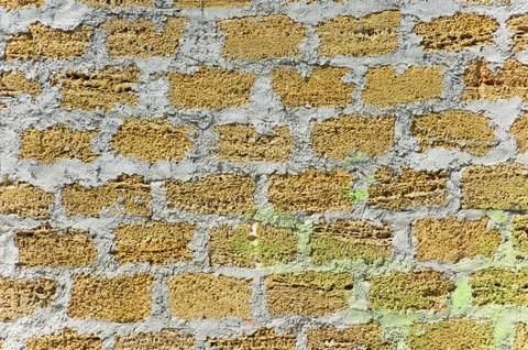 Masonry bricks made of shell rock Stock Photos