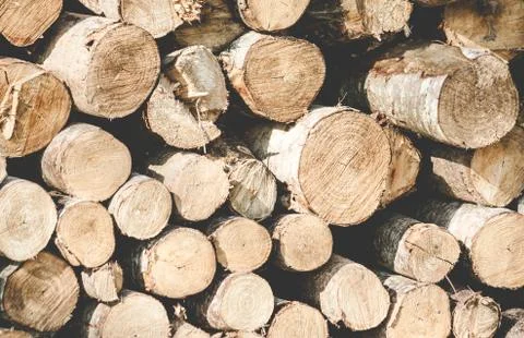 Masonry of round logs Stock Photos