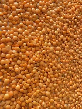 Masoor dal background Stock Photos
