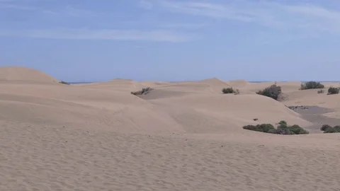 Maspalomas Dunes Video stock 74334967