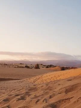 Maspalomas Dunes Foto stock