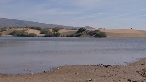 Maspalomas lagoon and dunes Video stock 74335057