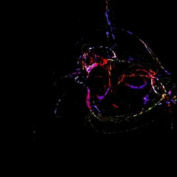 Masquerade background Stock Photos