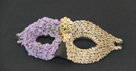 Masquerade Eye Mask. Stock Photos