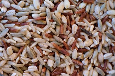 Mass of dry and multi colored rice ready to be cooked. Stock Photos
