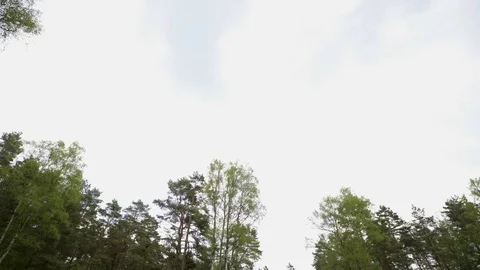 Mass Grave in Bergen-Belsen Stock Footage 79894752