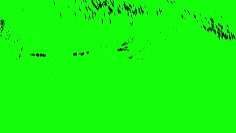 Mass migration movement. Crowd of birds behaviour. Flocking boids simulation. Stock Footage 153549128