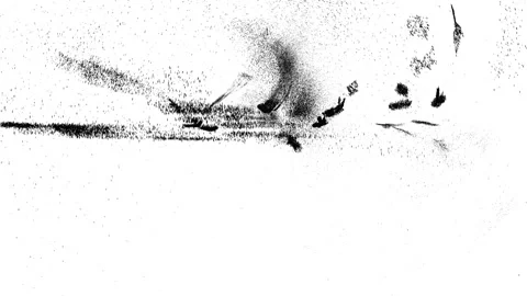 Mass migration movement. Crowd of birds behaviour. Flocking boids simulation Stock Footage 153555767