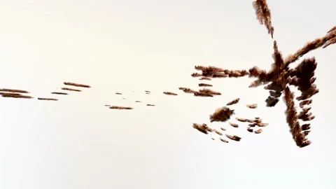 Mass migration movement. Crowd of feathers behaviour. Flocking boids Stock Footage 237031097