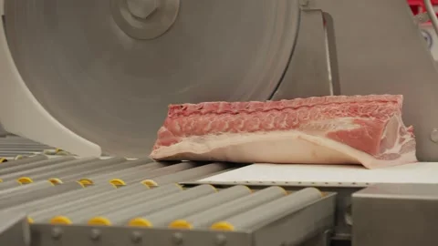 Mass production. Meat mix. Cutting meat. Stock Footage 304427591