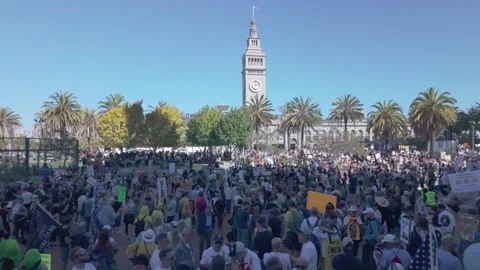 Mass Protest at Ferry Building, San Francisco Stock Footage 319502942