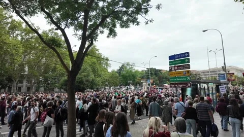 Mass Protest in Madrid: Unity Under Cloudy Skies Stock Footage 290778238