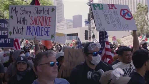 Mass Protest Outside Los Angeles City Hall June 14 2025 Stock Footage 311299535
