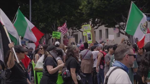 Mass Protest Outside Los Angeles City Hall June 14 2025 Stock Footage 311300007