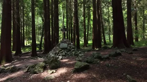 Mass Rock in Oughaval Forest, County Laois, Ireland Video stock 340008367