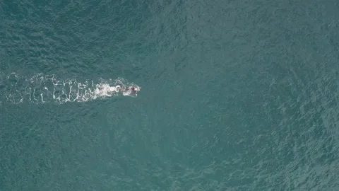 Mass start swim in open water. Stock Footage 243701622