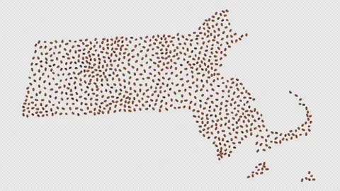 Massachusetts Coffee Beans Stock Footage 147698749
