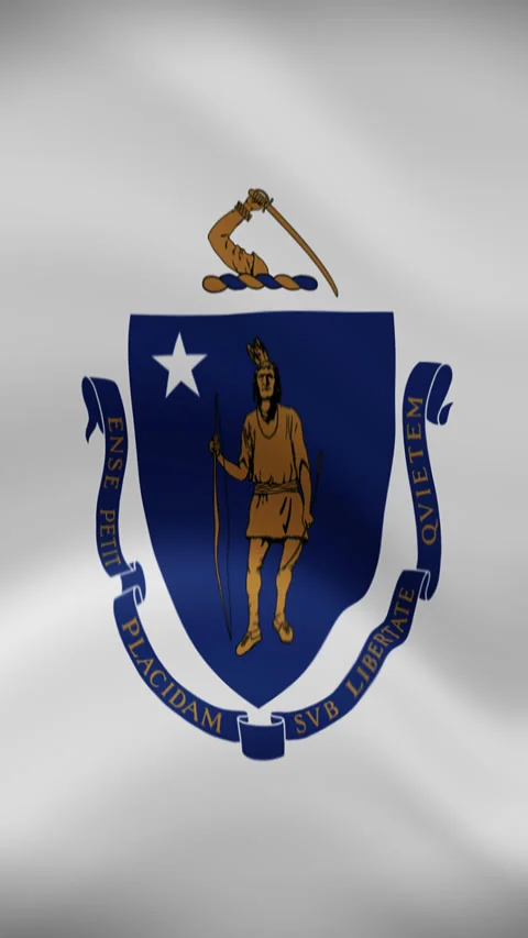 Massachusetts State Waving Flag in Vertical Orientation – Loop Animation Stock Footage 294949008