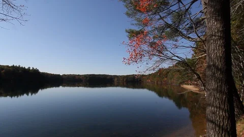 Massachusetts Walden Pond overview Stock Footage 129061002