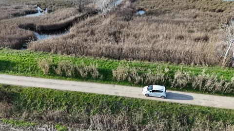 Massaciuccoli Lake 動画素材 267015761