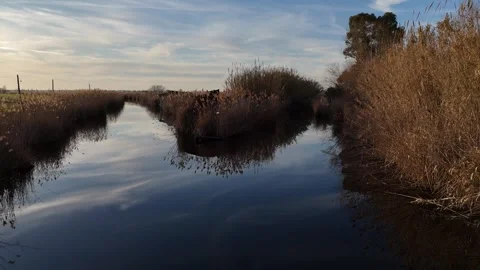 Massaciuccoli Lake 動画素材 267016732
