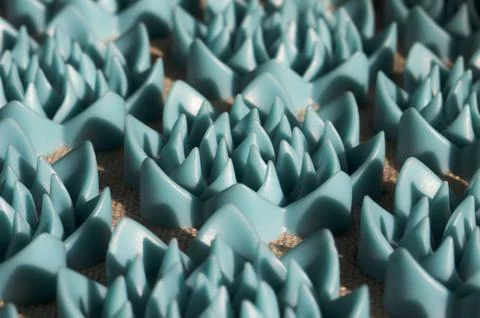 Massage Applicator. Close-up Stock Photos