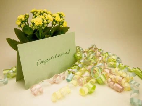 Massage Card; Congratulations! Stock Photos