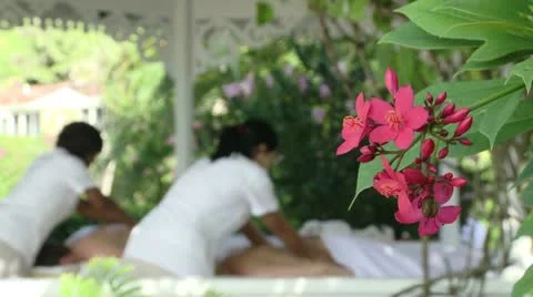 Massage Stock Footage 22341685