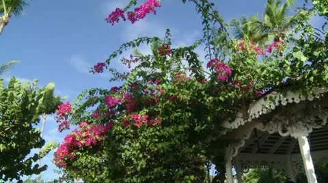 Massage Stock Footage 22341934