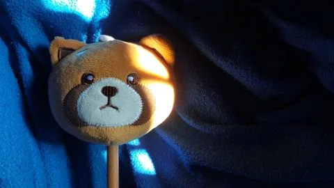 Massage tool shaped like a brown fox head Stock Photos