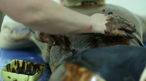 Massaging the skin using chocolate in a spa 스톡 동영상 61417669