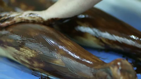 Massaging the skin using chocolate in a spa Stock-Footage 61449386