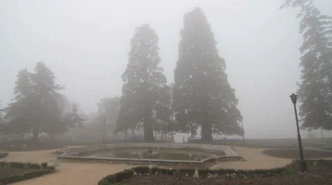 Massandra Garden Stock Footage 48817807