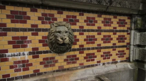 Massandra Lion Stock Footage 48844529