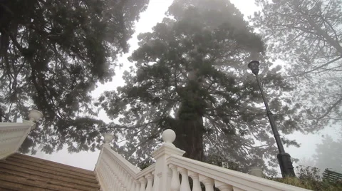 Massandra stairs Stock Footage 48817936