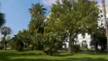 Massena Museum and garden with exotic green trees in Nice, exterior of villa HD Footage