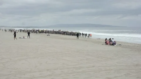 Masses of protesters on a beach, BLM, Santa Monica, LA, June 5 2020 Stock Footage 136750200