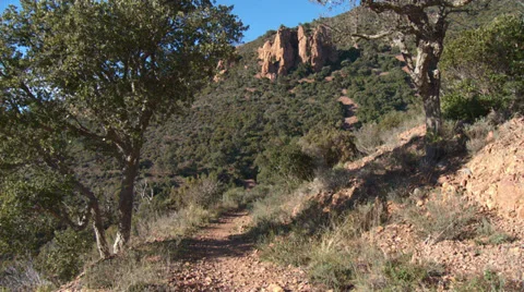 Massif de L'Esterel Cork Trees with Pinnacles Stock Footage 35631937