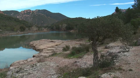 Massif de L'Esterel Lake with Small Cork Tree Stock Footage 35654218