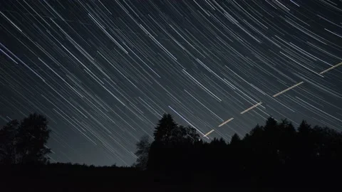 Massiv Star Trails Time Lapse in deep forest Stock Footage 138295422