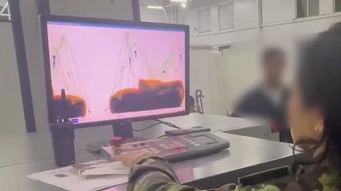 Massive 10ft Albino Python Found In Passenger's Carry On Luggage Video stock 286224451