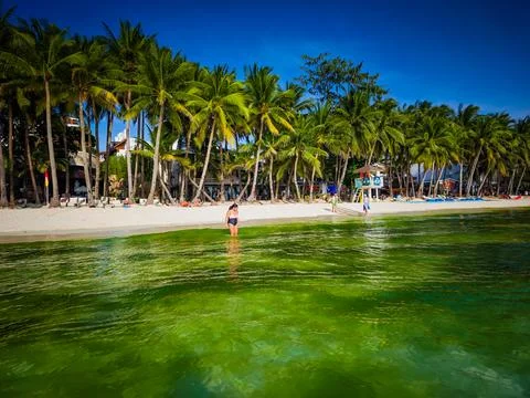 Massive algae bloom making emerald green water in Boracay island in Philippines Стоковые фото