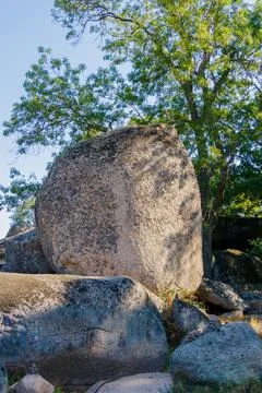 Massive ancient granite boulder surrounded by green trees in natural rocky .. Foto stock